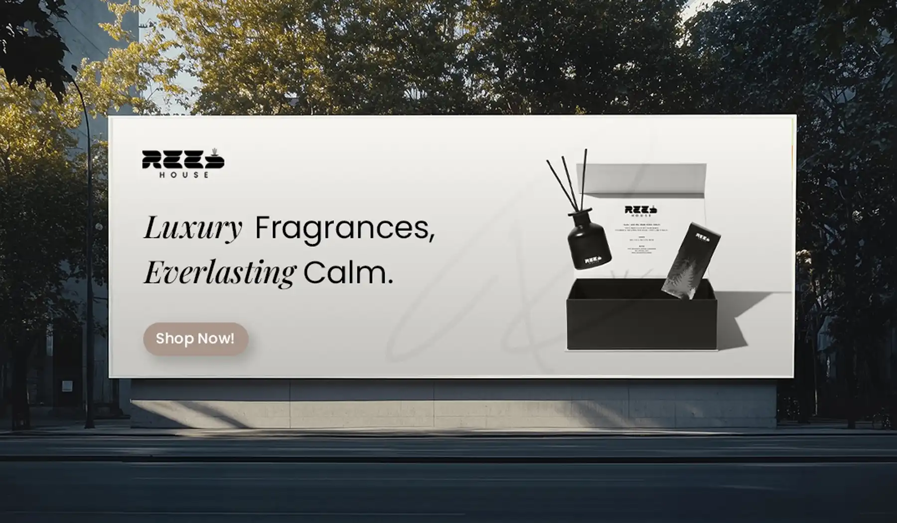 Reed1 - Stracct Marketing Solutions - Crafting Brands That Build Legacies