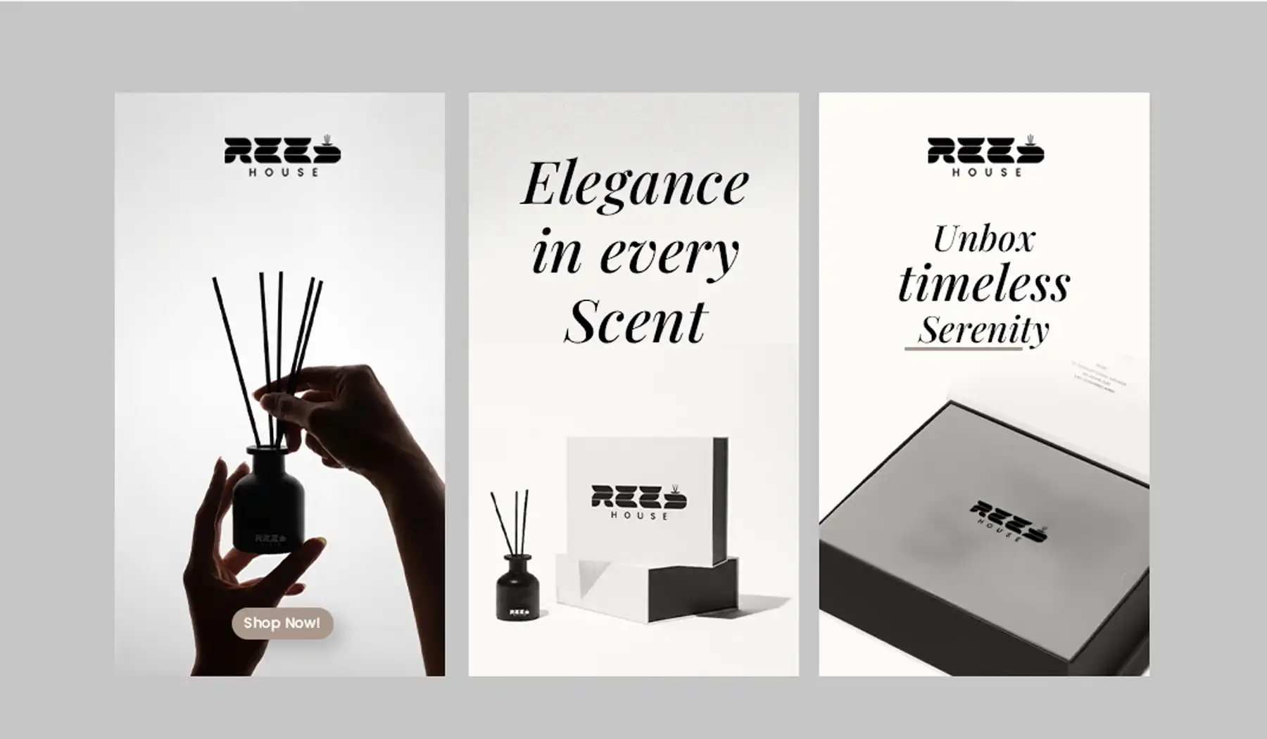 Reed3 - Stracct Marketing Solutions - Crafting Brands That Build Legacies