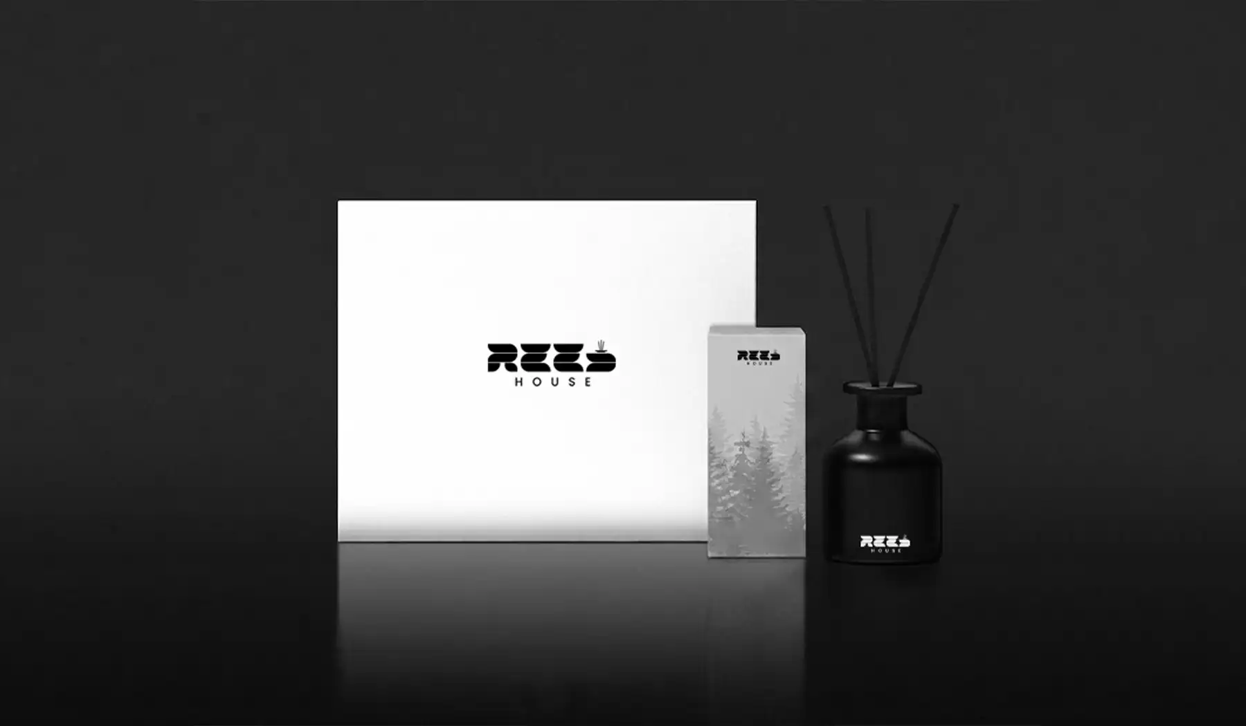 Reed5 - Stracct Marketing Solutions - Crafting Brands That Build Legacies